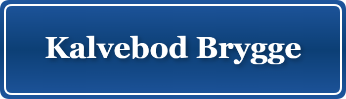 Parkering p&aring; Kalvebod Brygge, K&oslash;benhavn