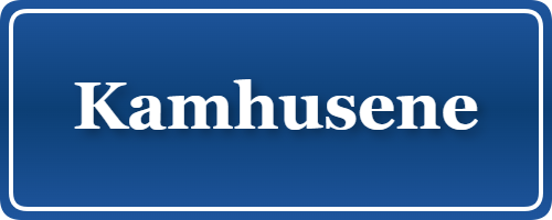 Parkering p&aring; Kamhusene, K&oslash;benhavn