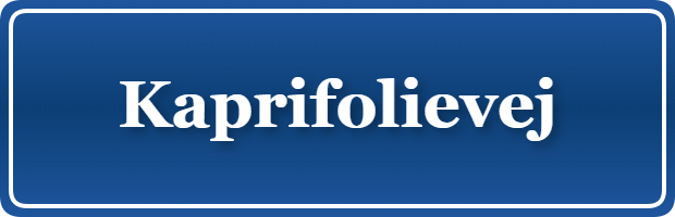 Parkering p&aring; Kaprifolievej, K&oslash;benhavn