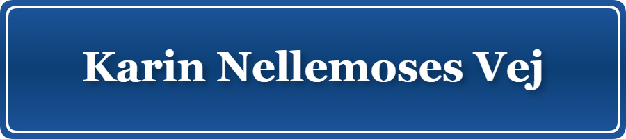 Parkering p&aring; Karin Nellemoses Vej, K&oslash;benhavn