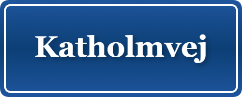 Parkering p&aring; Katholmvej, K&oslash;benhavn