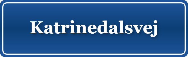 Parkering p&aring; Katrinedalsvej, K&oslash;benhavn