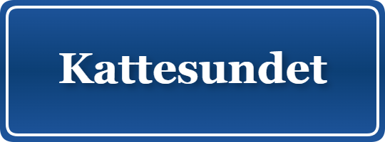 Parkering p&aring; Kattesundet, K&oslash;benhavn