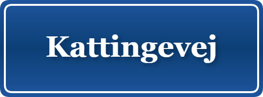 Parkering p&aring; Kattingevej, K&oslash;benhavn