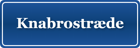 Parkering p&aring; Knabrostræde, K&oslash;benhavn