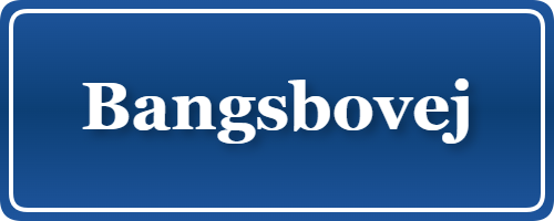 Parkering p&aring; Bangsbovej, K&oslash;benhavn