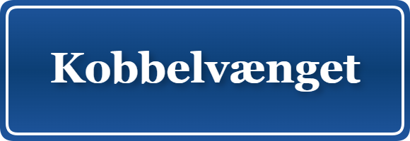 Parkering p&aring; Kobbelvænget, K&oslash;benhavn