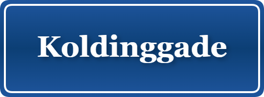 Parkering p&aring; Koldinggade, K&oslash;benhavn