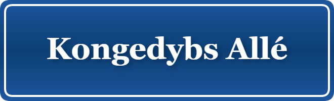 Parkering p&aring; Kongedybs Allé, K&oslash;benhavn