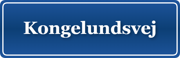 Parkering p&aring; Kongelundsvej, K&oslash;benhavn