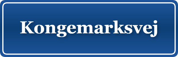 Parkering p&aring; Kongemarksvej, K&oslash;benhavn