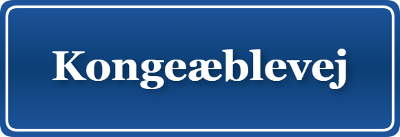 Parkering p&aring; Kongeæblevej, K&oslash;benhavn