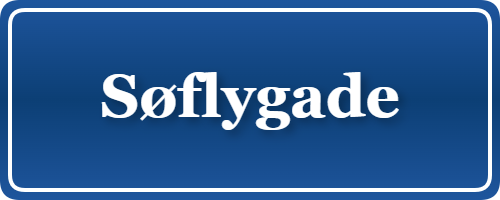 Parkering p&aring; Søflygade, K&oslash;benhavn