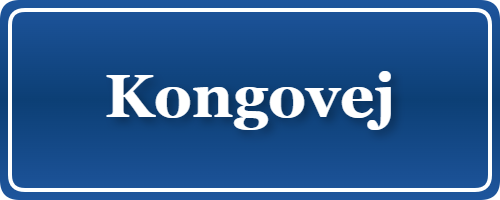 Parkering p&aring; Kongovej, K&oslash;benhavn