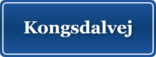 Parkering p&aring; Kongsdalvej, K&oslash;benhavn