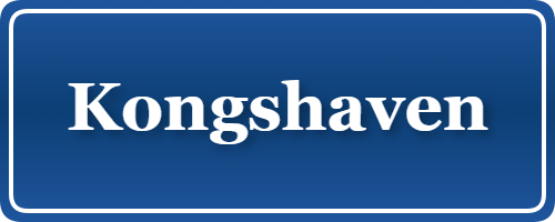 Parkering p&aring; Kongshaven, K&oslash;benhavn