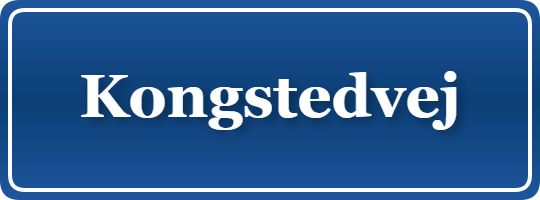 Parkering p&aring; Kongstedvej, K&oslash;benhavn