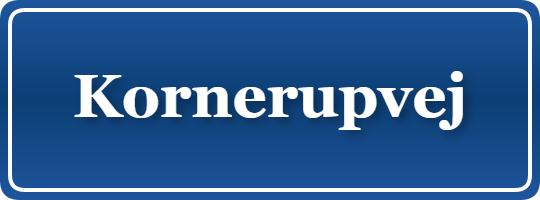 Parkering p&aring; Kornerupvej, K&oslash;benhavn