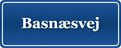 Parkering p&aring; Basnæsvej, K&oslash;benhavn