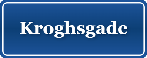 Parkering p&aring; Kroghsgade, K&oslash;benhavn