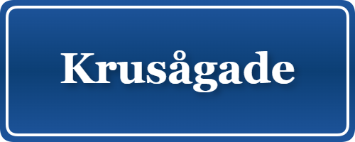 Parkering p&aring; Krusågade, K&oslash;benhavn