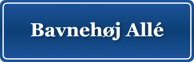 Parkering p&aring; Bavnehøj Allé, K&oslash;benhavn