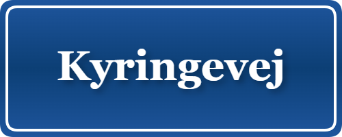 Parkering p&aring; Kyringevej, K&oslash;benhavn