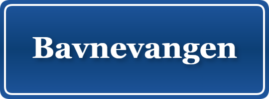 Parkering p&aring; Bavnevangen, K&oslash;benhavn