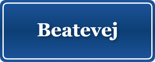 Parkering p&aring; Beatevej, K&oslash;benhavn