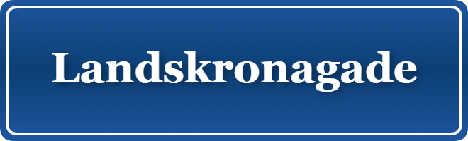 Parkering p&aring; Landskronagade, K&oslash;benhavn
