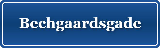 Parkering p&aring; Bechgaardsgade, K&oslash;benhavn