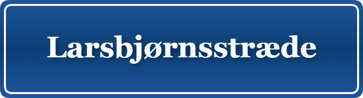 Parkering p&aring; Larsbjørnsstræde, K&oslash;benhavn