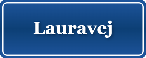 Parkering p&aring; Lauravej, K&oslash;benhavn