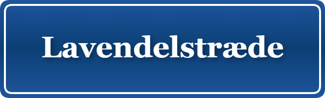 Parkering p&aring; Lavendelstræde, K&oslash;benhavn