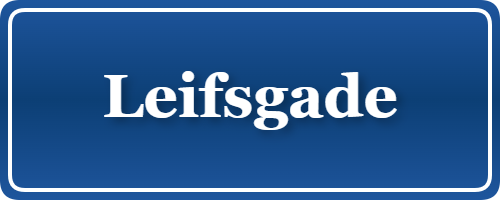 Parkering p&aring; Leifsgade, K&oslash;benhavn