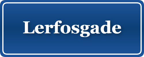 Parkering p&aring; Lerfosgade, K&oslash;benhavn