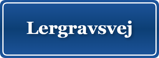 Parkering p&aring; Lergravsvej, K&oslash;benhavn