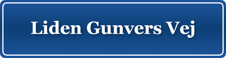 Parkering p&aring; Liden Gunvers Vej, K&oslash;benhavn