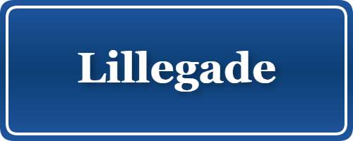 Parkering p&aring; Lillegade, K&oslash;benhavn