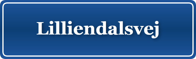 Parkering p&aring; Lilliendalsvej, K&oslash;benhavn