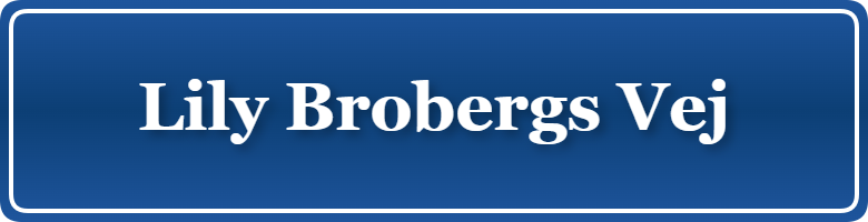 Parkering p&aring; Lily Brobergs Vej, K&oslash;benhavn