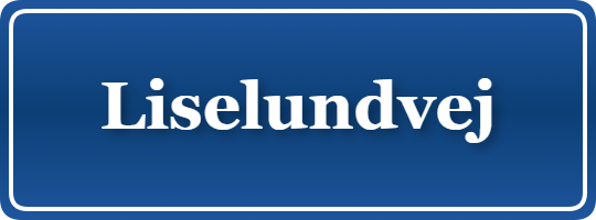 Parkering p&aring; Liselundvej, K&oslash;benhavn