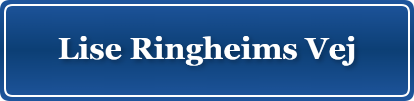 Parkering p&aring; Lise Ringheims Vej, K&oslash;benhavn