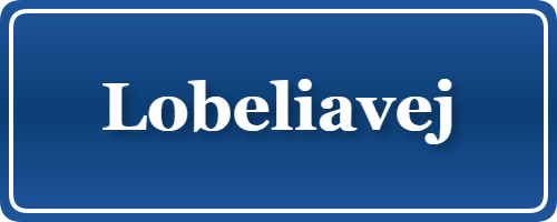 Parkering p&aring; Lobeliavej, K&oslash;benhavn