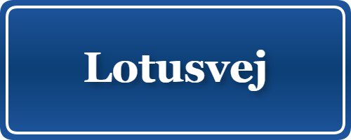 Parkering p&aring; Lotusvej, K&oslash;benhavn