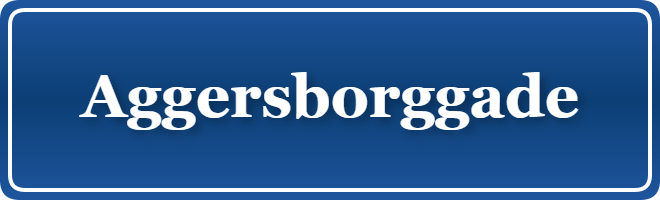 Parkering p&aring; Aggersborggade, K&oslash;benhavn