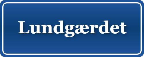 Parkering p&aring; Lundgærdet, K&oslash;benhavn