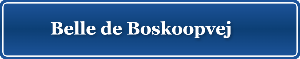 Parkering p&aring; Belle de Boskoopvej    , K&oslash;benhavn