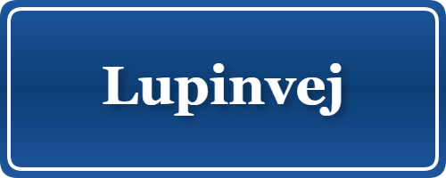 Parkering p&aring; Lupinvej, K&oslash;benhavn