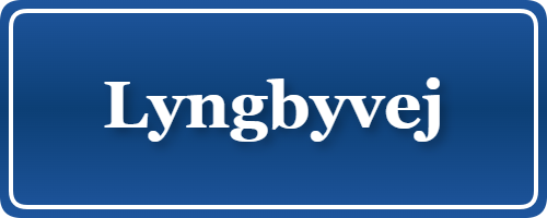 Parkering p&aring; Lyngbyvej, K&oslash;benhavn